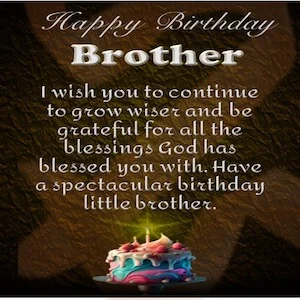 Best Happy Birthday Wishes For Your Little Brother With Images ...