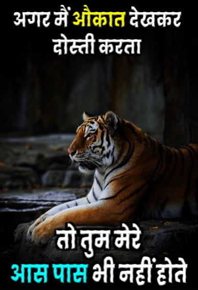 Killer Attitude Status In Hindi