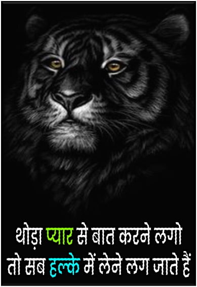 Killer Attitude Status – Status In Hindi