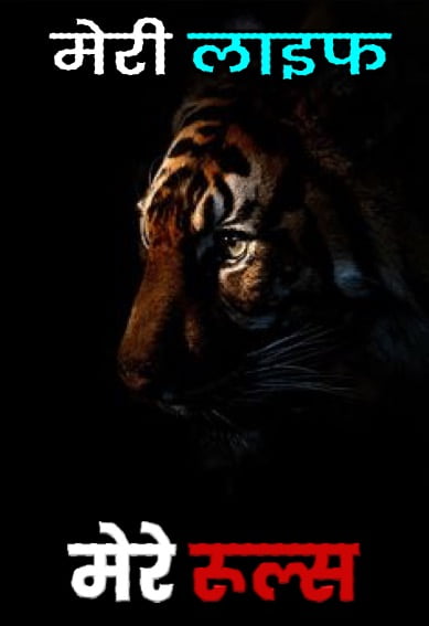 Bad Boy Killer Attitude Status In Hindi