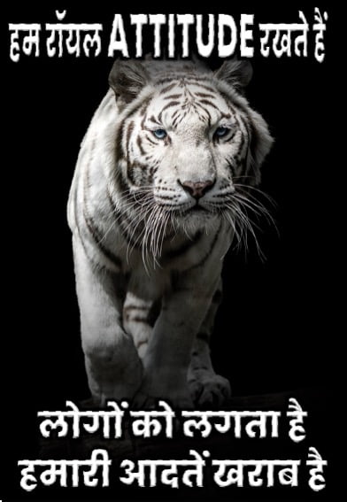 Royal And Killer Attitude Status In Hindi